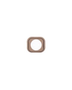 iPhone 5C Home Button Gasket